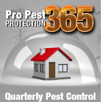 Pro Pest